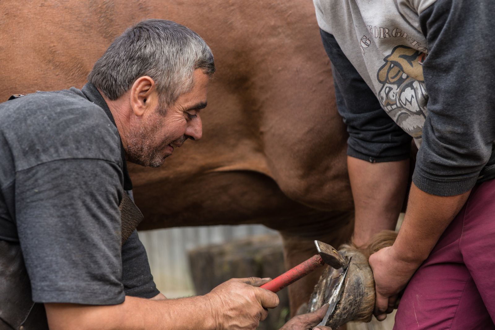 A farrier fitting a shoe while the owner holds the horse's leg