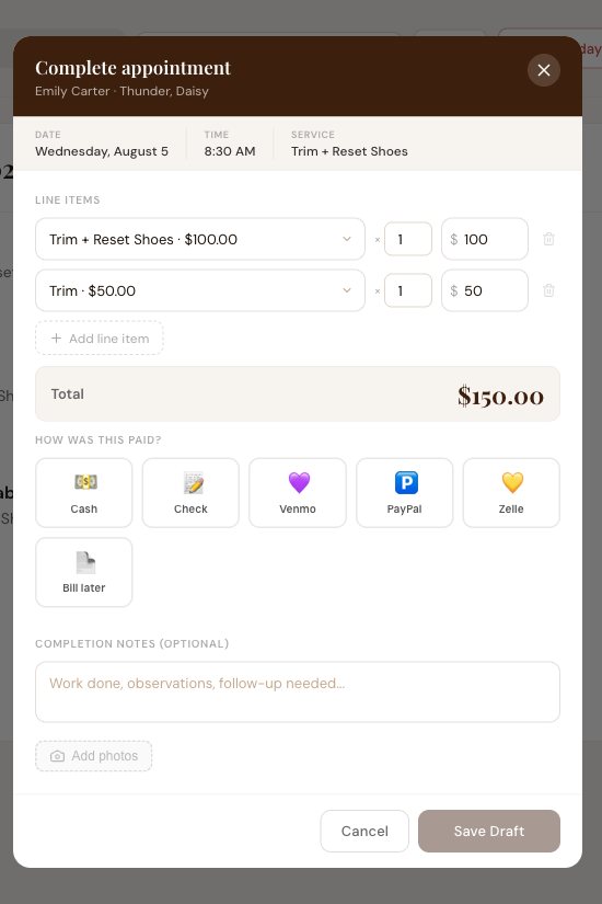 Complete appointment dialog with line items, a total, payment method buttons and completion notes
